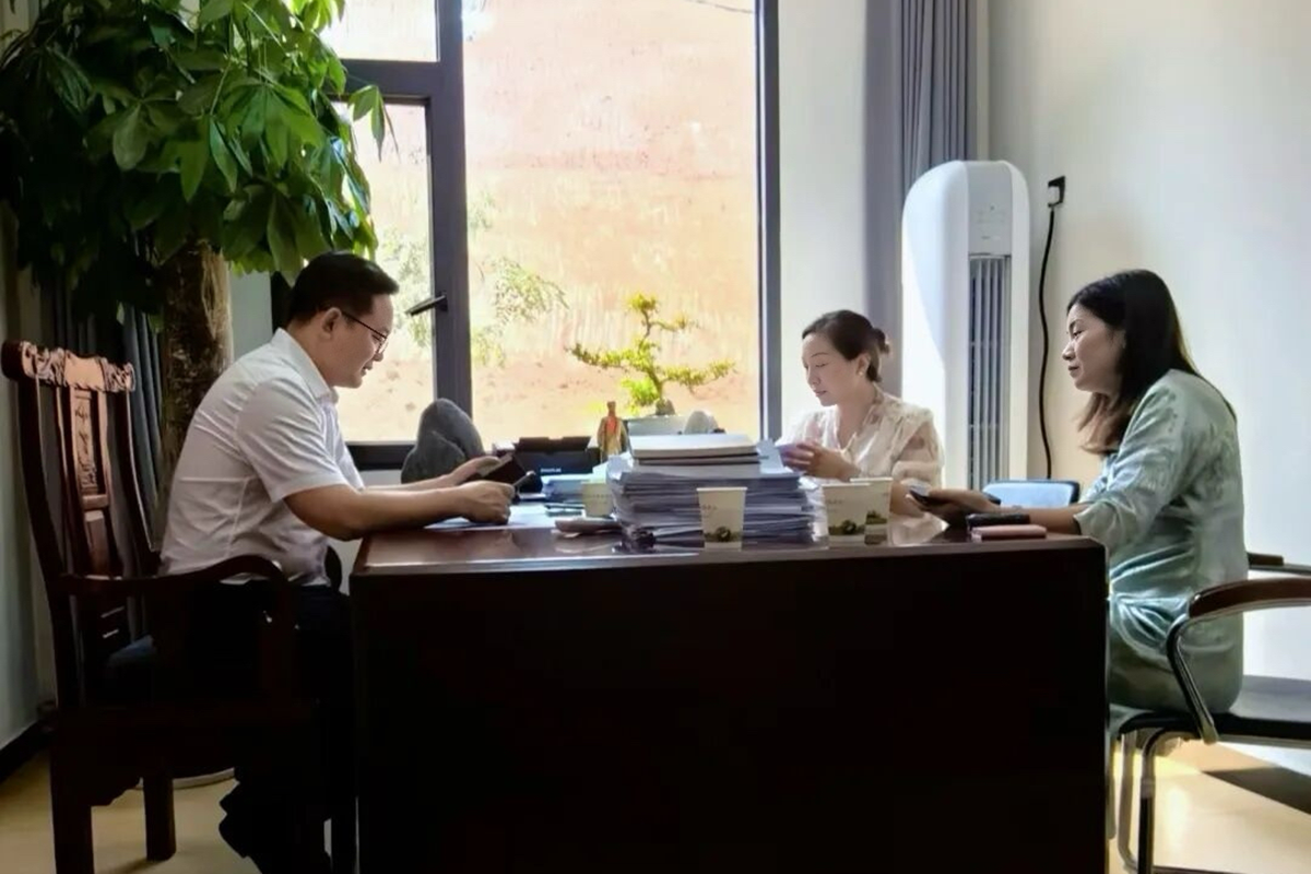 “三维发力”破旧局 构筑营商“新生态”